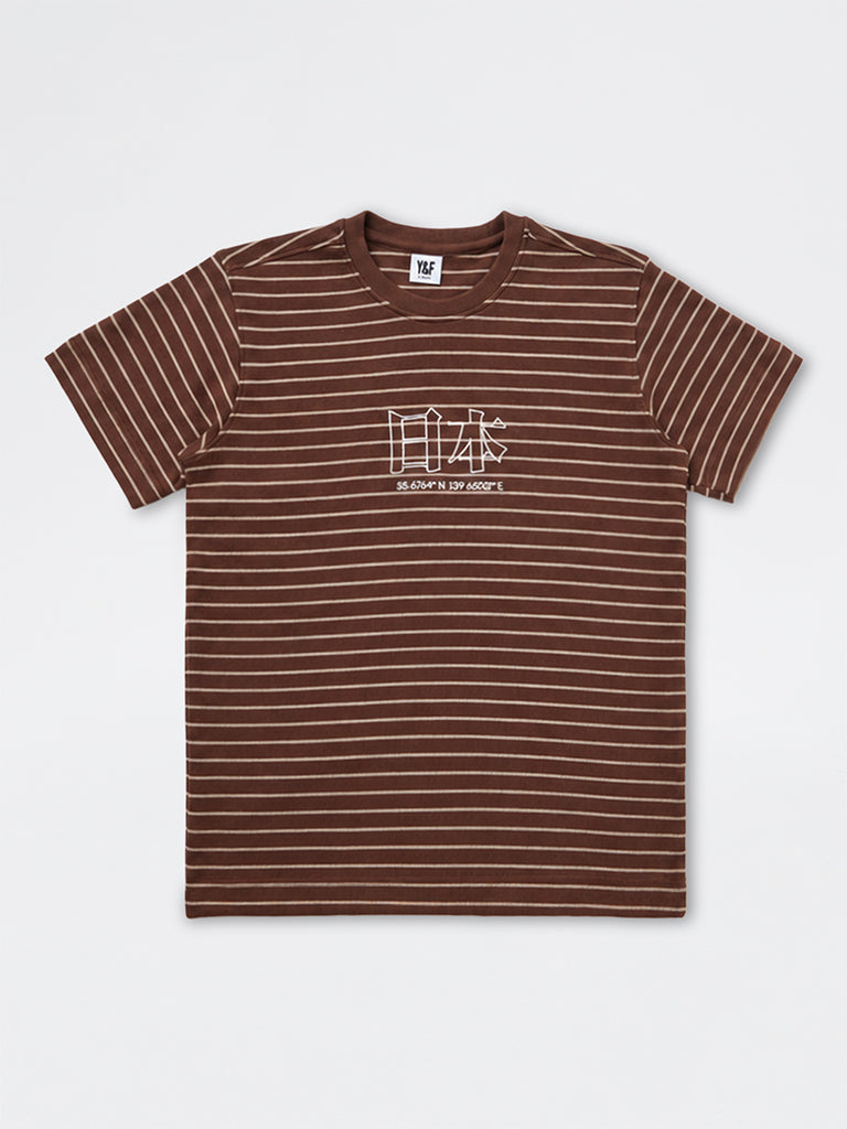 Boys Brown Stripe Printed Cotton T-Shirt