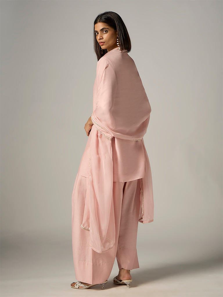 Vark Light Pink Botanical Embroidered Straight Ethnic Set