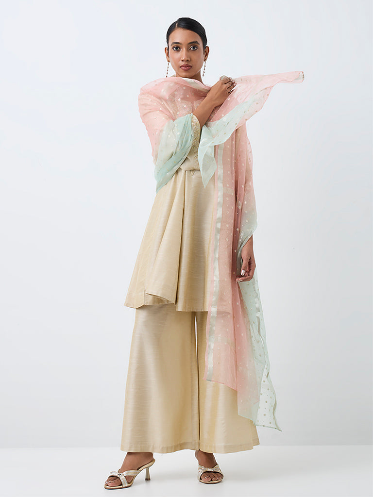 Vark Beige Floral Embroidered Flared Ethnic Set