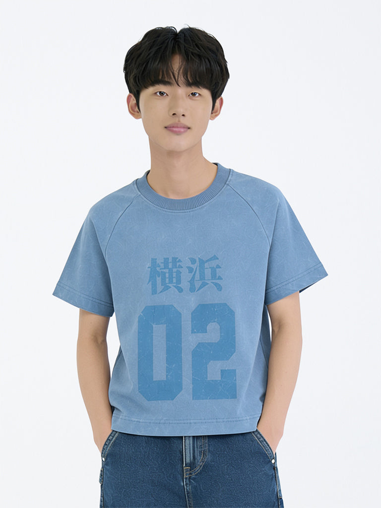 Boys Blue Numerical Printed Cotton T-Shirt